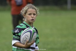feminines edr 3